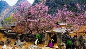 Capture the authentic charm of Vietnam’s cultural scene
